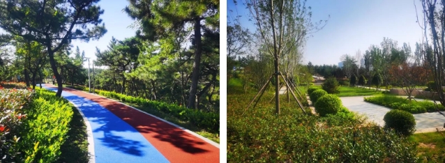 1704017109178233.png 33.png