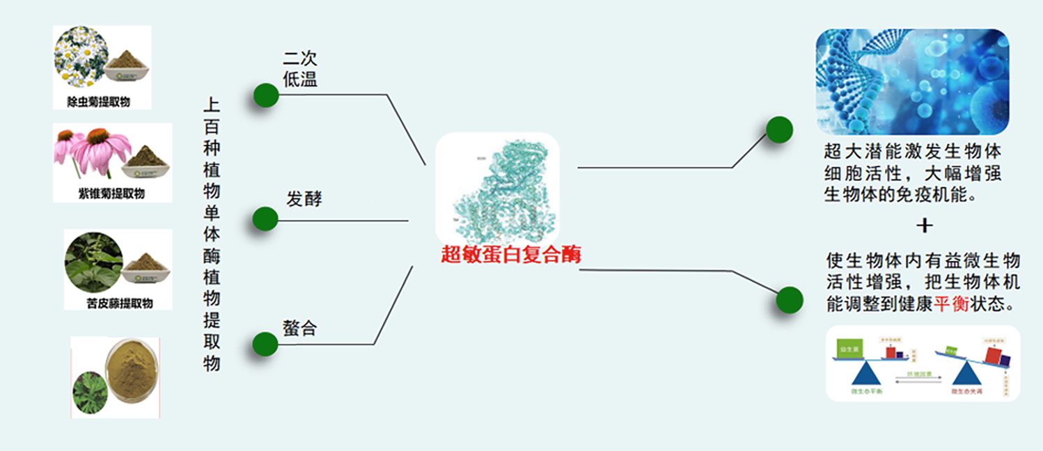 1708420709147530.jpg jsjs.jpg